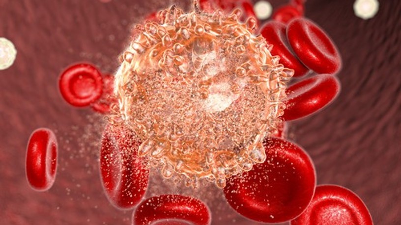hematologia