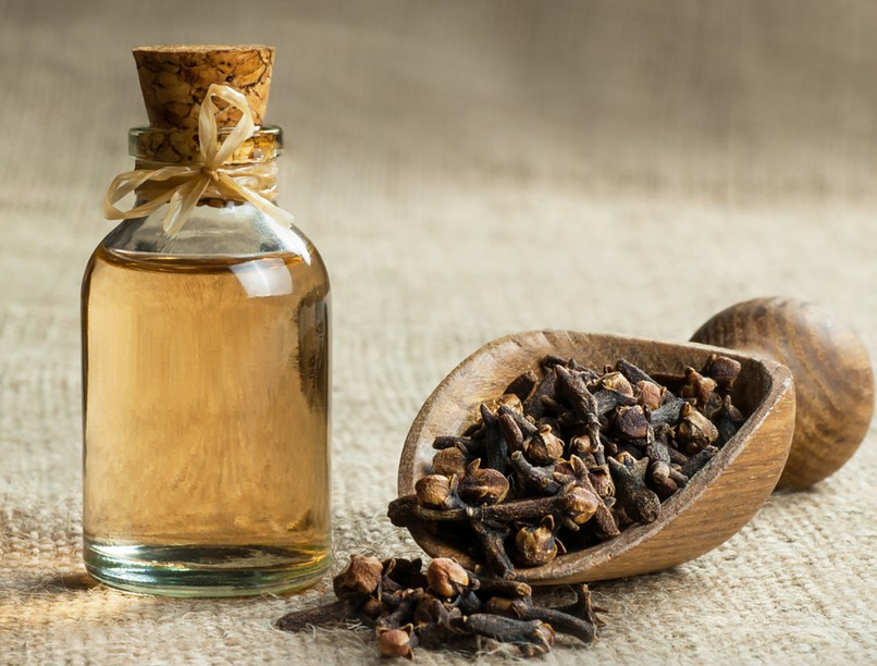 szegfűszeg hatása használata gyógynövény gyulladások ellen