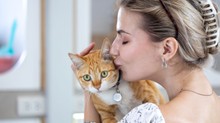 A macskája tényleg szereti a puszikat és az ölelést? Meglepő, mit gondolhatnak erről a cicák című cikk nyitóképe