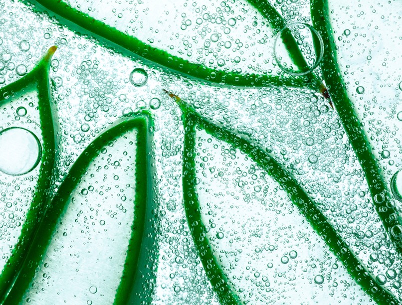 aloe vera gyógynövény vastagbélrák