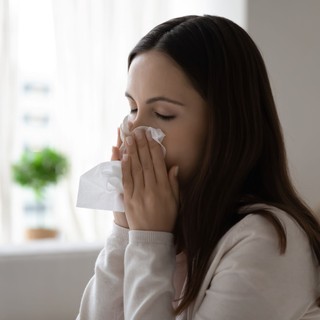 Mindig a lakásban náthásodik be? Ilyen, amikor allergia okozza című cikk nyitóképe