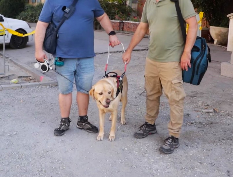 budapest, vakvezető, kutya, látássérült