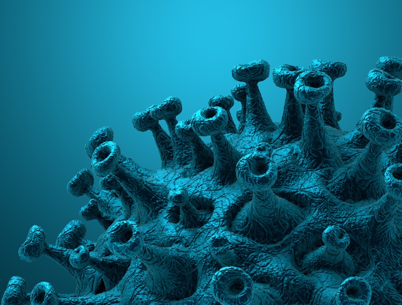 omikron, koronvírus, covid-19,  B.1.1.529, szupermutáns