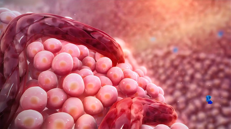 6 súlyos tévhit a rákról: például tévedés, hogy mind gyógyíthatatlan