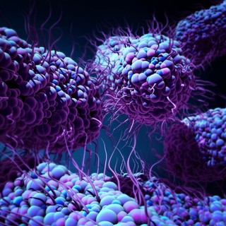 Katasztrofális jövőt jósolnak a rezisztens baktériumok: milyenek lesznek a jövő antibiotikumai? című cikk nyitóképe