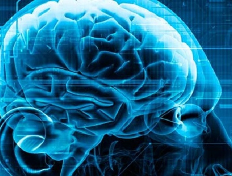 neuroscience-feature-art