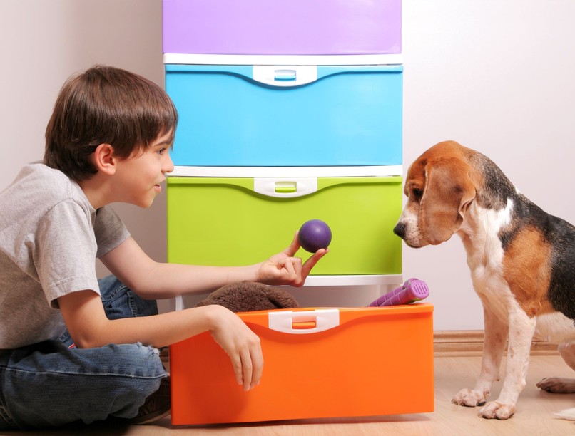 kutya tárgy szótanulás etológia kutatás