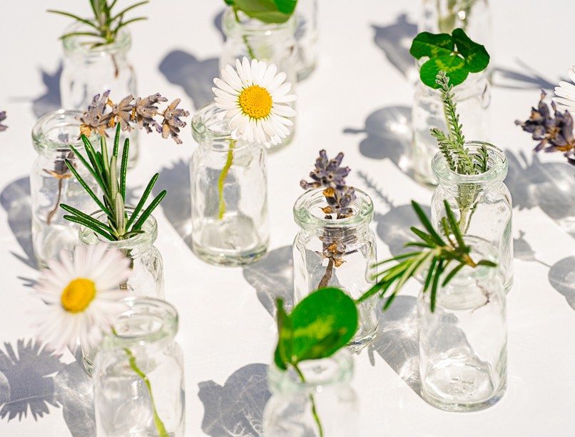 Menopauza, klimax, gyógynövény, bükki füvesember