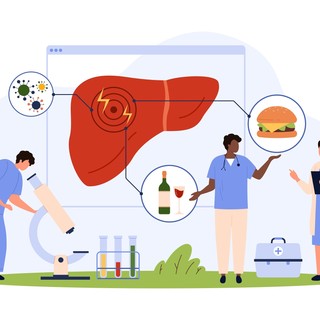 Hogyan gyógyul a máj? című cikk nyitóképe