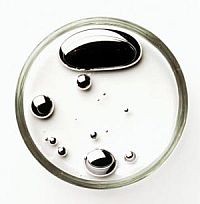 Környezeti mérgek vizsgálata indul!