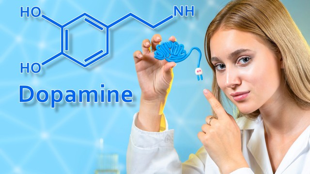 Örömhormon vagy sem? Ezt a dolgot szinte mindenki rosszul tudja a dopaminnal kapcsolatban