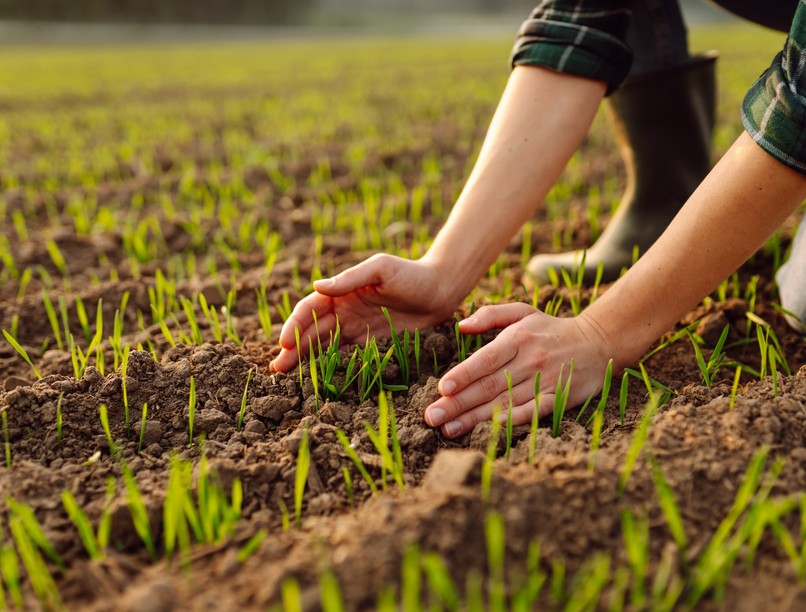 gyógyszermaradvány talaj veszély