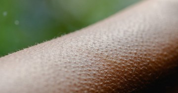 Miért ráz ki a hideg egy jó zenétől vagy egy érzelmes pillanattól?