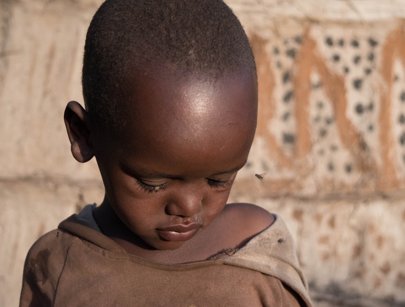 álomkór, cecelény, tanzánia, kongó, afrika, légy, parazita