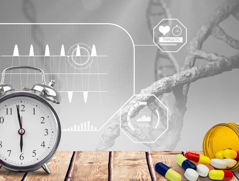 biológiai kor, életkor, öregedés, betegség, életmód, bélflóra