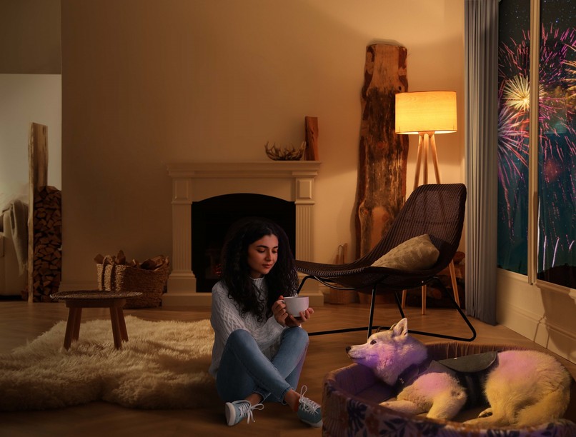 szilveszter kisállat kutya macska pánik tüzijáték petráda