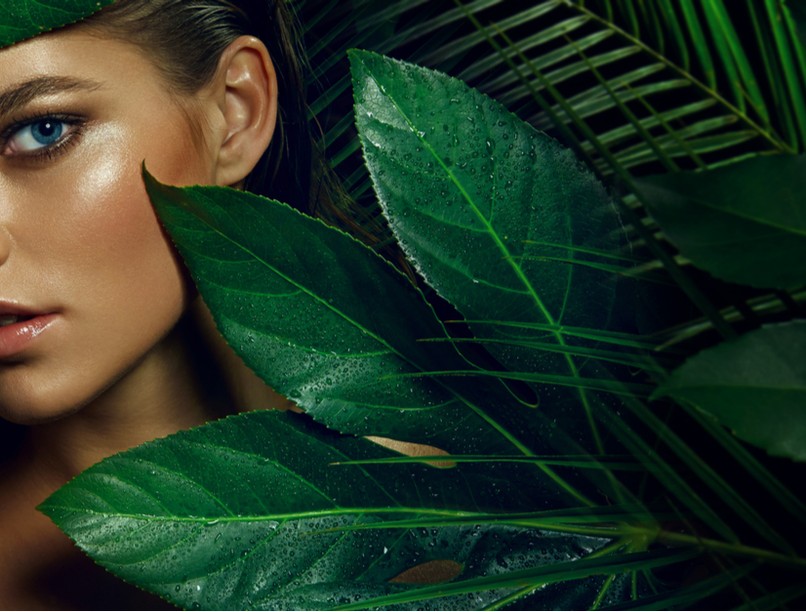 szépség, immunrendszer, vonzerő, fagociták