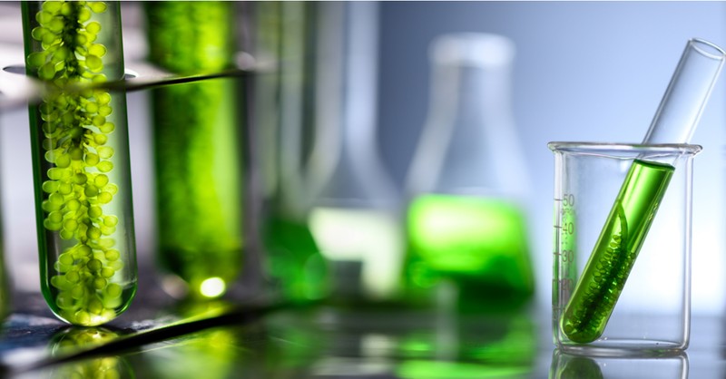 Vírusellenes és immunsstimuláló hatása is van a jövő élelmiszerének