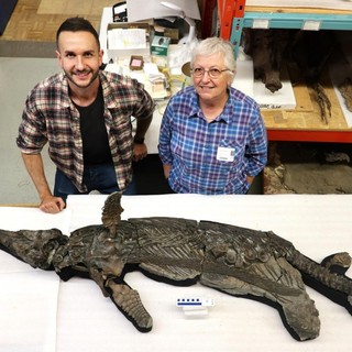 Egy titokzatos lény, amelyet Anglia partjainál fedeztek fel, szóhoz sem juttatta a tudósokat! című cikk nyitóképe