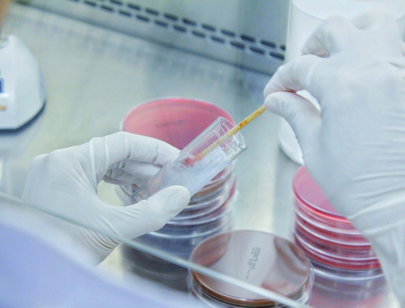 köptető, gyerek, halál, fagyálló