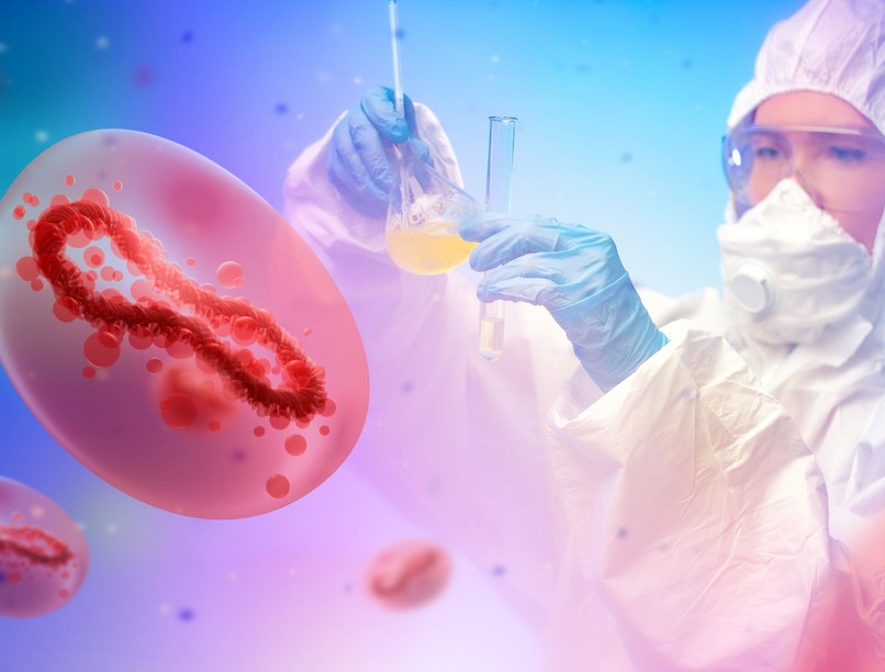 Majomhimlő nemzetközi vészhelyzet WHO