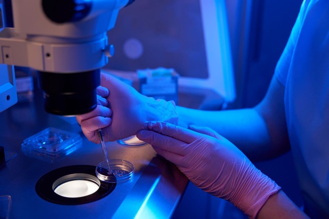 Először használtak emberi bőrsejteket megtermékenyíthető petesejtek létrehozására