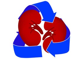 Fontos tudni róla: cukorbetegség és vesebetegség