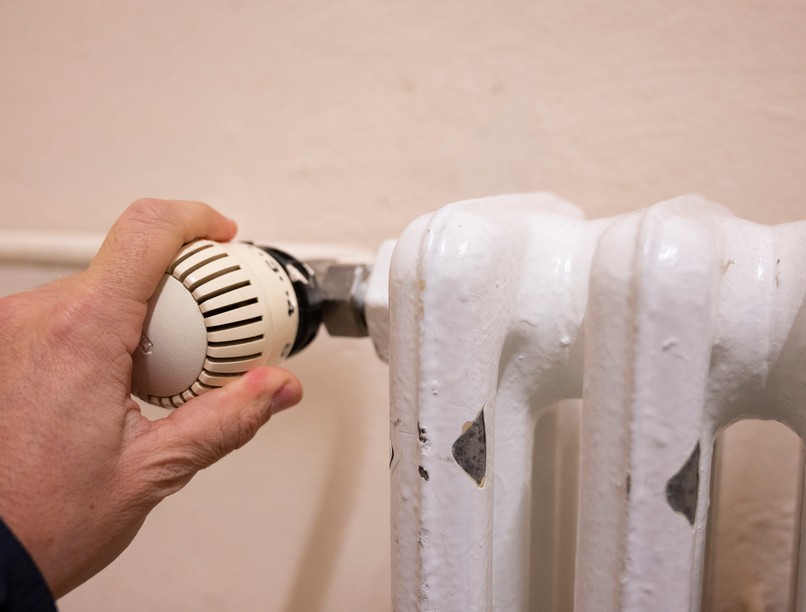 rezsi, fogyás, zsír, kutatás