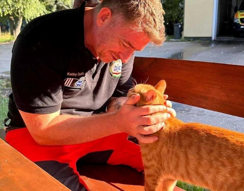 A tiszteletbeli mentőmacska váratlanul jelent meg, és bearanyozta az állomás mindennapjait.