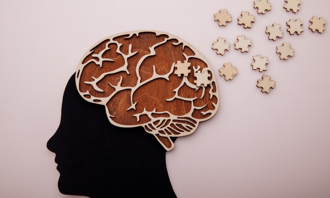 Hogyan működik az agy? Mi az emberi memória? című cikk nyitóképe