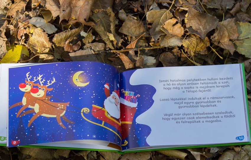 Lőcse Tímea: A Télapó és a varázstea története