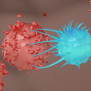 Újraindították az immunrendszerét: 3-féle halálos betegségből gyógyult fel az édesanya egy eljárás után című cikk nyitóképe