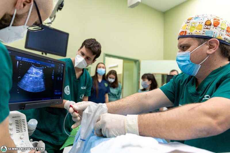 Fagyasztásos kezelés: most először gyógyítottak rákos betegeket vele a Semmelweisen