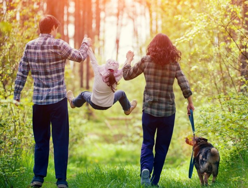 kullancs, kullancscsípés, kullancs ellen