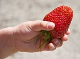 Ételallergia csecsemőkorban