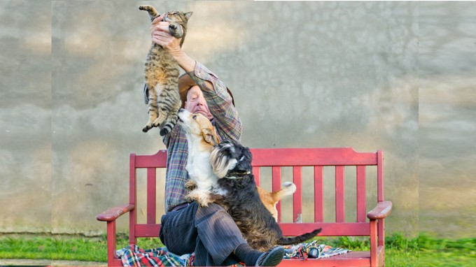 Kutyák és macskák együttélése: így kerülhetők el a konfliktusok már az első naptól kezdve című cikk nyitóképe