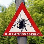 Oxigénterápiával a Lyme-kór ellen?