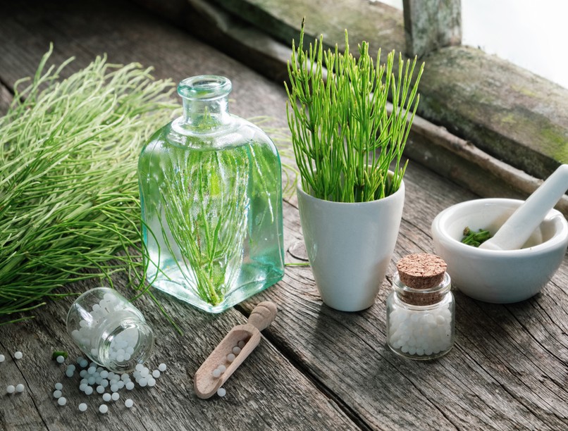 mezei zsurló, fájdalom, gyulladás, fertőzés, gyógynövény