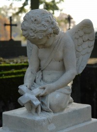 Vigasztaló szelíd szavak