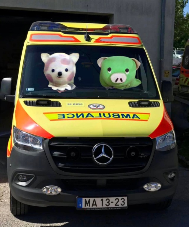 Figyeljünk egymásra: életmentés a Futrinka utcában