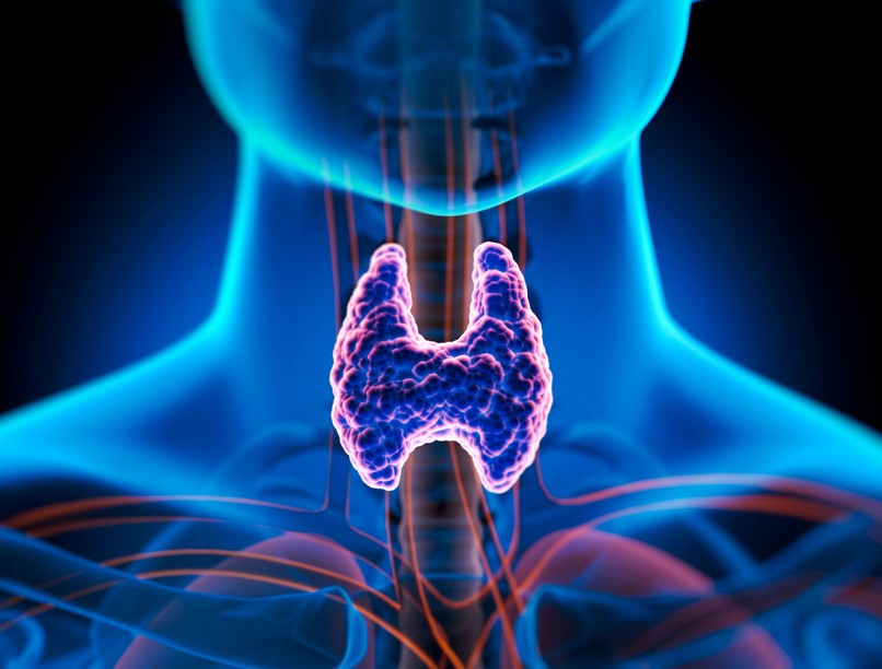 hangulatingadozások, pajzsmirigyzavar, hormonok, depresszió