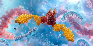 Hogyan kezdődik a rák? A professzor szerint mindig így, egyetlen sejt lázadásával