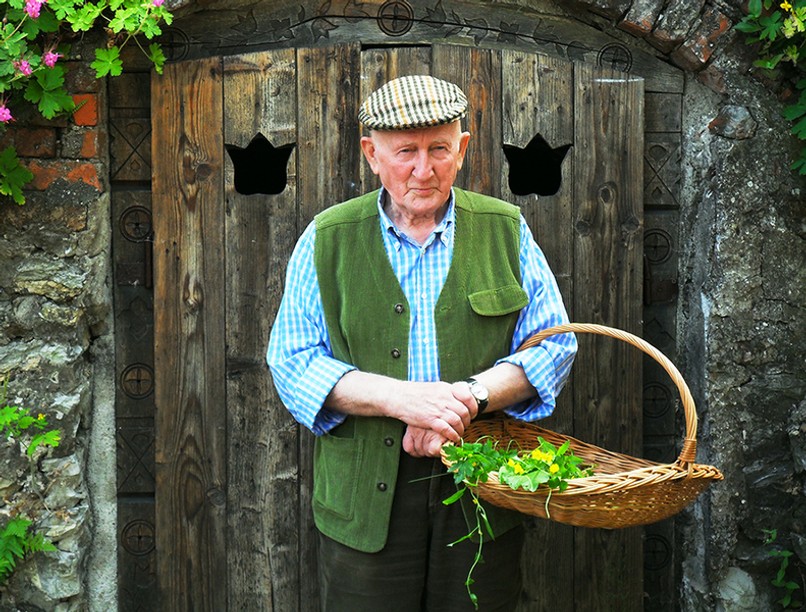 szabo gyuri bacsi, gyógynövény, mozgásszervi panasz