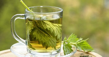  Ennyi mindenben segíthet a csalántea – ezért igya rendszeresen 