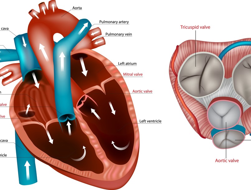 Billentyűhibák tünet vizsgálat kezelés