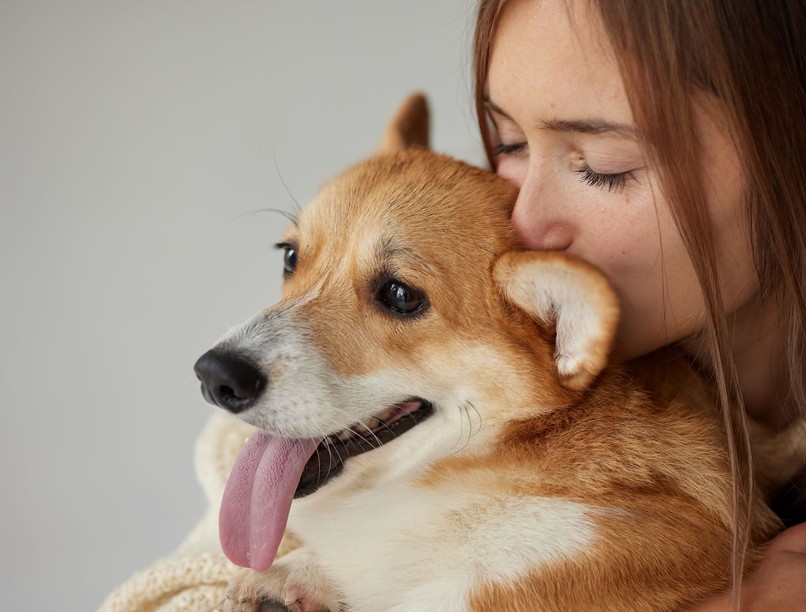 kutyától elkap betegség férges 