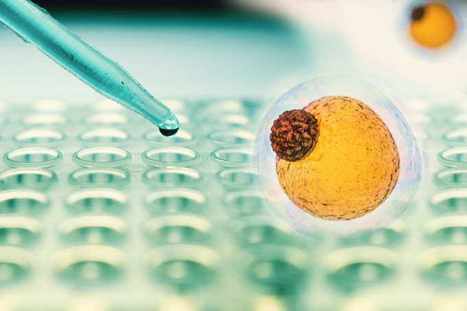 Zsírkapcsoló: megvan hogyan zabolázható meg a hízás! Tudósok azonosítottak egy epigenetikai kapcsolót, amely blokkolja a zsírsejtek kialakulását című cikk nyitóképe