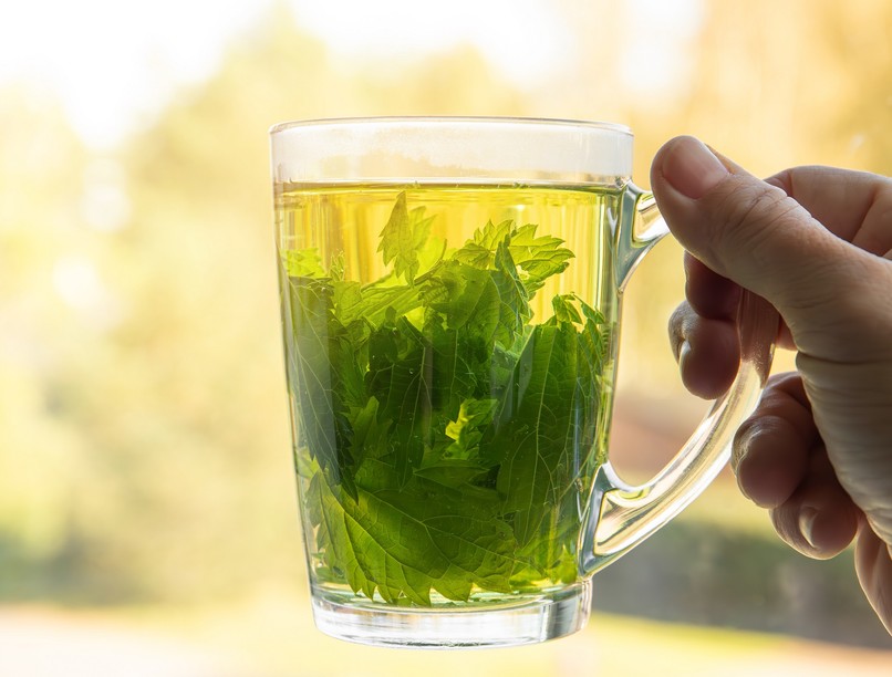 csalán hatása szénanátha allergia ellen