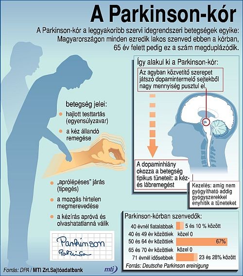 Kis képes összefoglaló: Parkinson-kór