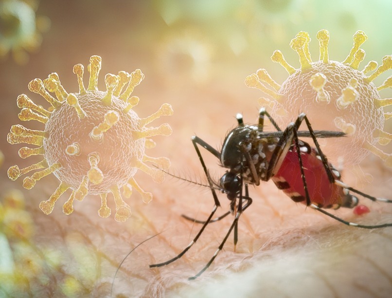 Malária tünet vizsgálat kezelés